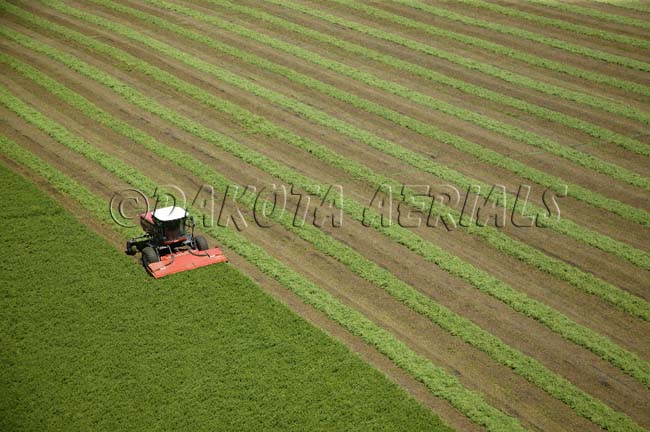 Swattin' Hay Keepers of the Mountain